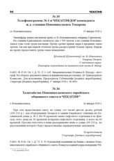 Ходатайство Новониколаевского еврейского общинного совета в ЧЕКАТИФ. г. Новониколаевск, 16 января 1920 г.