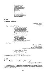 Письма Н.В. Суетенковой, адресованные Ф.К. Миронову. Письмо «Бесконечно любимому Филиппу...». 4 февраля, 18 мая 1919 г.