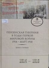 Пензенская губерния в годы Первой мировой войны